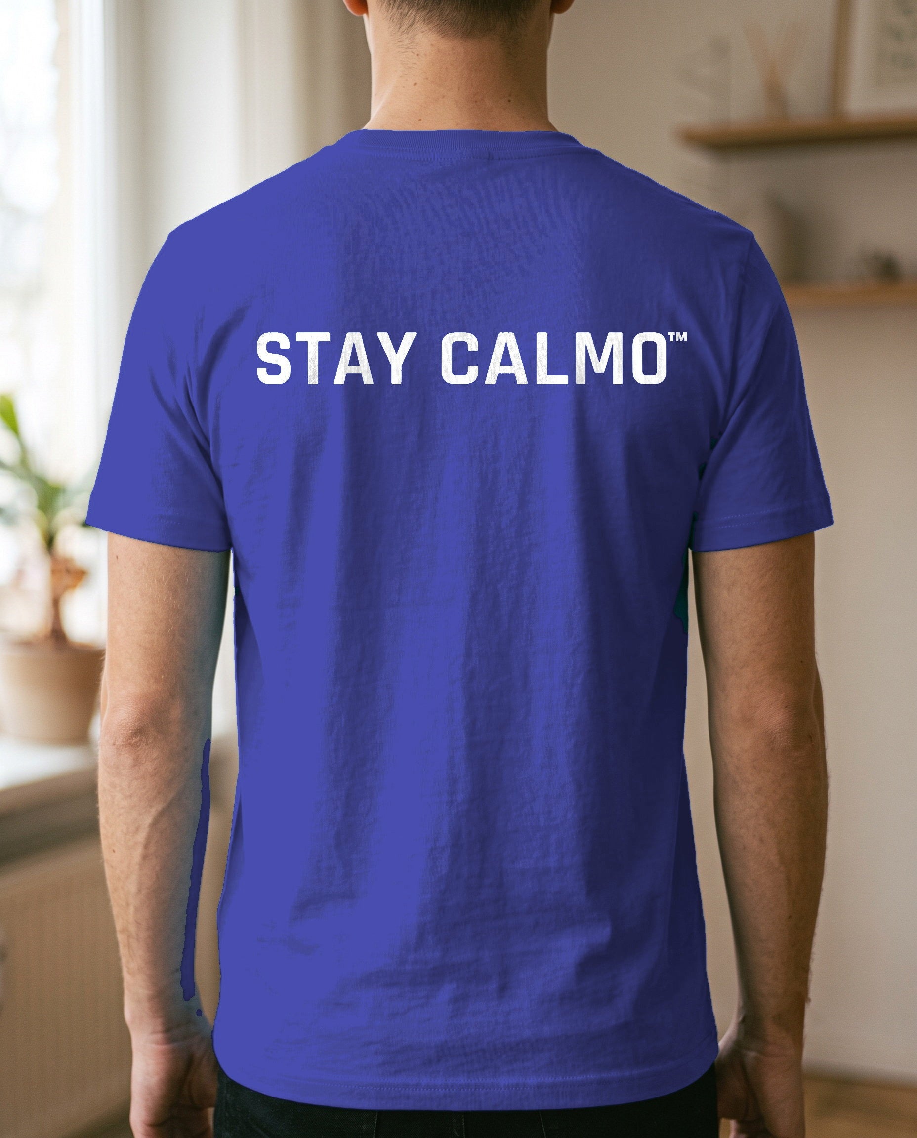 T-shirt Stay Calmo CH.01 — Modello B, Uomo